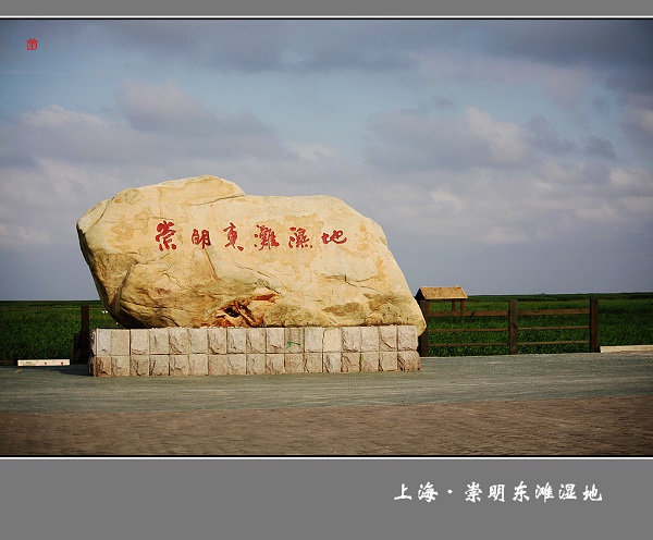 自行車租賃管理系統(tǒng)_上海東灘濕地國(guó)際公園